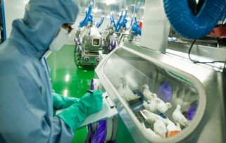 新舊動(dòng)能轉(zhuǎn)換丨生物技術(shù)研發(fā)中心投入使用 市北生物科技創(chuàng)新集聚效應(yīng)初步顯現(xiàn)